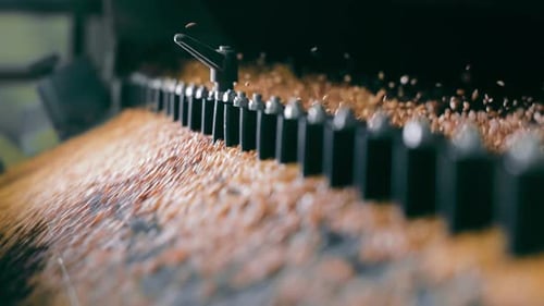 Automated Grain Distribution in Silo Grains Being Evenly Distributed By Mechanical Spreader Inside a