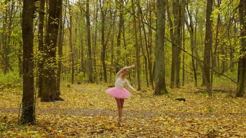 A Ballerina Performs Her Dance in the Middle of a Large Autumn Forest