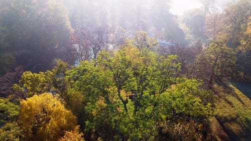 Slow Flight Over the Trees and View of Lake with White Columns in Autumn Park