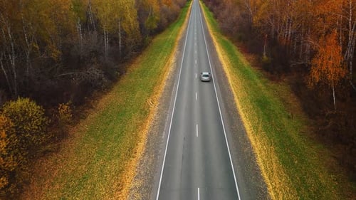 Scenic Autumn Drive on a Quiet Highway Surrounded By Colorful Trees