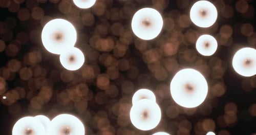 Abstract Glowing Orbs Floating Motion Background