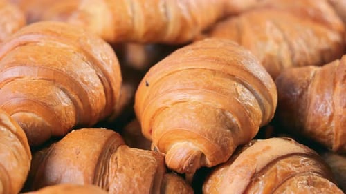 Freshly Baked French Croissants