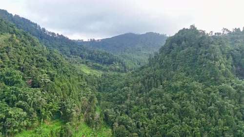 Lush valley nestled between hills, showcasing a serene and captivating view of nature's beauty.