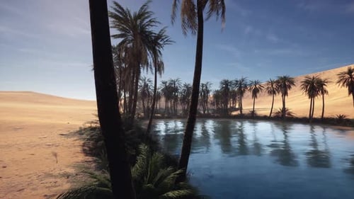 Scenic Desert Oasis Featuring Shimmering Pool and Golden Sands