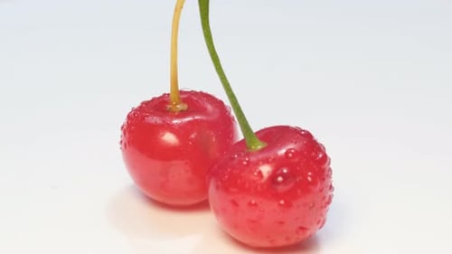Two Red Cherries with Water Droplets Close Up