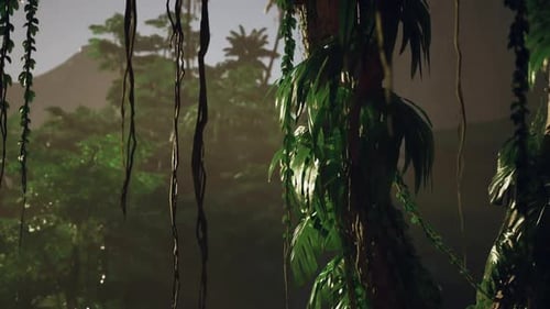 Dense Green Forest Filled With Trees