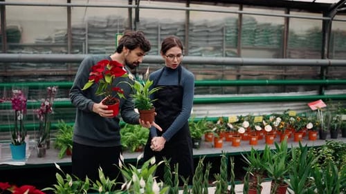 Botanists Discussing Plants in Greenhouse