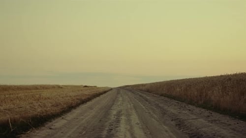 Road Wheat Field on Sunset Country Landscape. Golden Agriculture Farmland Outdoor. Finish Cereal ...