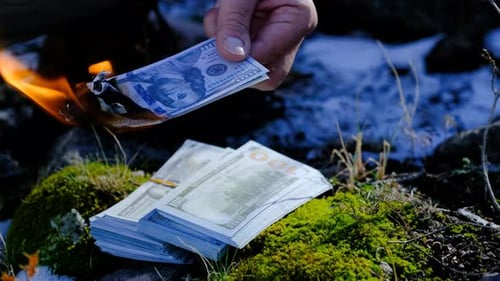 Burning dollars in nature