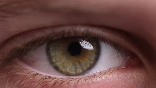 Kid'S Green Pupil Of Wide Opened Eye Close Up Shoot