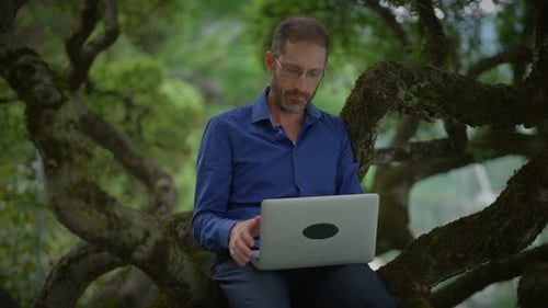 Man Working on Laptop While Sitting in Tree