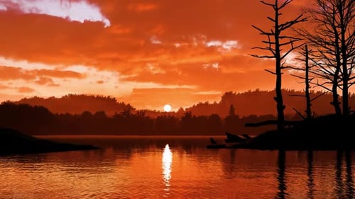 Abendszene mit Sonnenuntergang am Meer, Sonnenuntergang im Wald