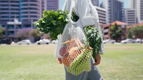 Llevar verduras orgánicas frescas en una bolsa de malla