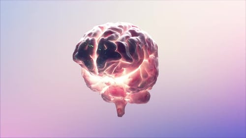 Futuristic Brain Animation with Glowing Neural Activity