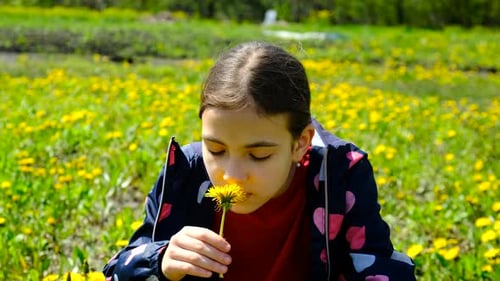 Girl Smelling Dandelion Blowing Seeds Sneezes