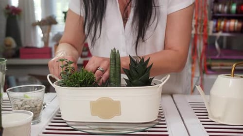 Midsection of Florist Arranging Succulent Plants in Florarium at Workshop