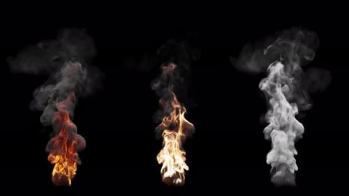 Set of three fire burning variants. File contains Alpha Channel.