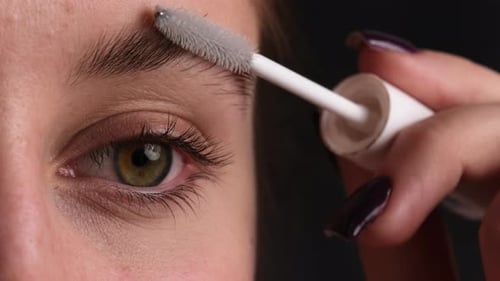 Professional Makeup Close Up Tutorial Girl Brushing Eyebrows With Brush