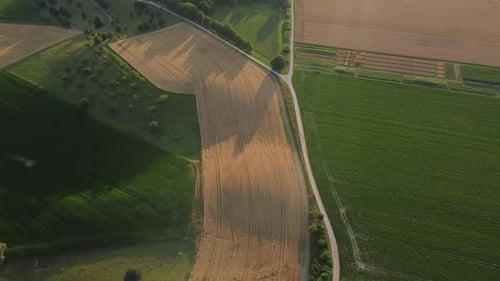 Drone survolant un champ de blé