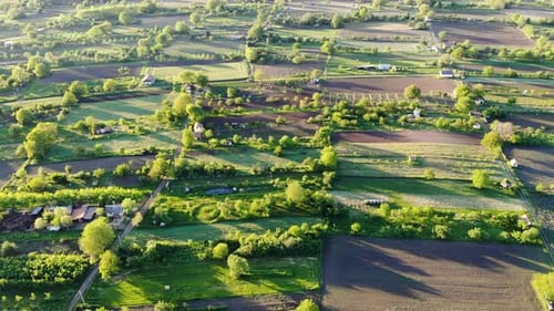 Fly over gardens during sunset with long shadows - drone shot