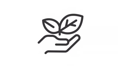 Growing Plant in Hand Minimalist Line Animation