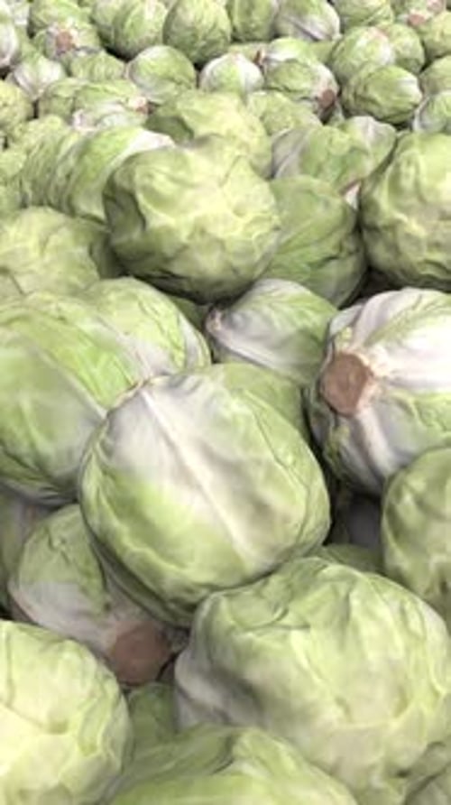 Flying Over Endless Cabbage Pile Loop