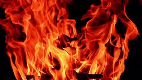 Pile of wooden logs burning in the bonfire. Close up view on the flames dancing