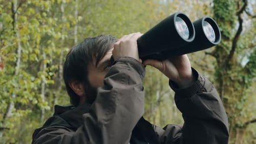 Homme barbu levant les yeux avec des jumelles à la recherche d'oiseaux rares dans la forêt