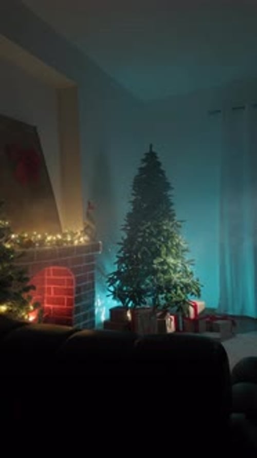 Tree at Night and Beam of Light Illuminating It in a Room