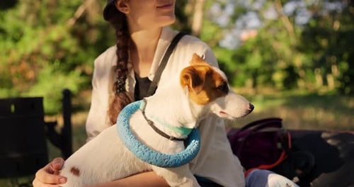 Happy Girl Dog Owner Petting Her Pet While Relaxing on a Bench in the Park in Summer