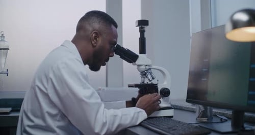 African American Microbiologist Looks Under Microscope Does Analysis