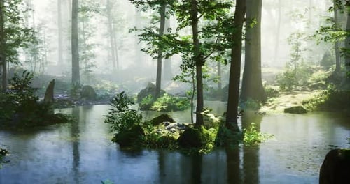 Lush Forest Landscape with Tranquil Water and Mist in Morning Light
