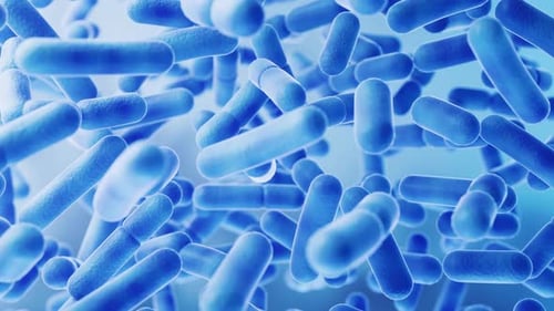 Animated 3D Bacteria Cells Moving Seamlessly