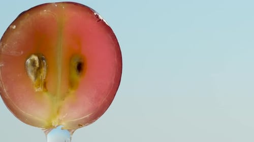 Half of a black grape with seeds inside, water flows down it, against a blue sky background, close-u