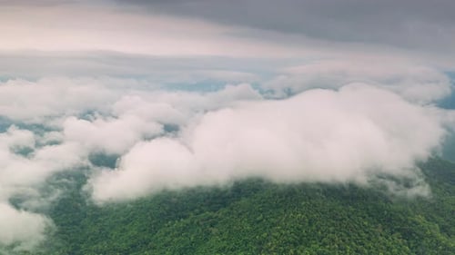 Aerial view morning scenery Mist flowing over the high mountains.
