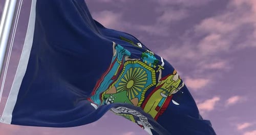 Realistic Waving State Flag Animation