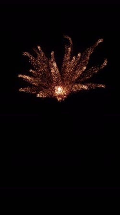 Celebratory Golden Particle Burst Animation Effect