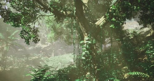 Lush Green Jungle Forest with Sunbeam Rays Looping Background