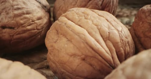 Walnuts Close Up for Cooking and Food