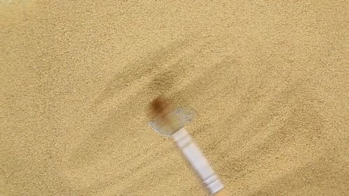 Archaeology Excavation Brush Sand and Coin Search
