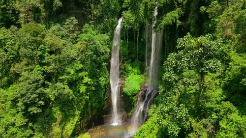 Drone View of Sekumpul Waterfall Surrounded By Tropical Jungle in Bali Indonesia