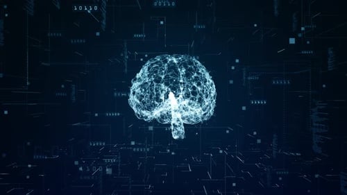 Animated Digital Brain with Data Network and Binary Code