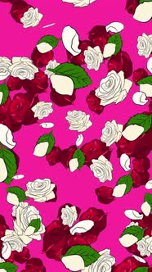 Rote und weiße Rosen auf Rosa