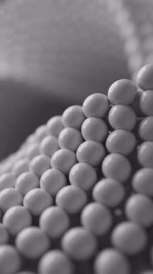 Abstract White Spheres Geometric Wave Motion Loop Vertical