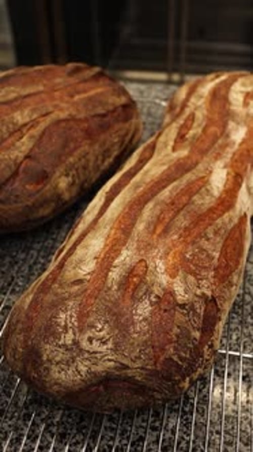 a chef makes bread in a bakery