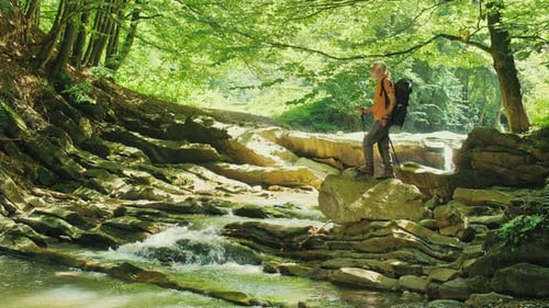 Senior Male Hiker with Backpack and Walking Poles Standing on a Large Rock