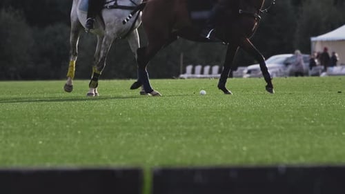 Polo Game Slow Motion