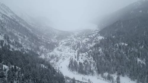 Luftaufnahme des schneebedeckten Tals und des Waldes in der Wintersaison