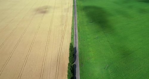 Aerial View of Road Dividing Wheat and Crops