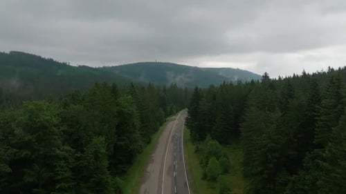 Luftaufnahmen einer Straße durch dichten Wald